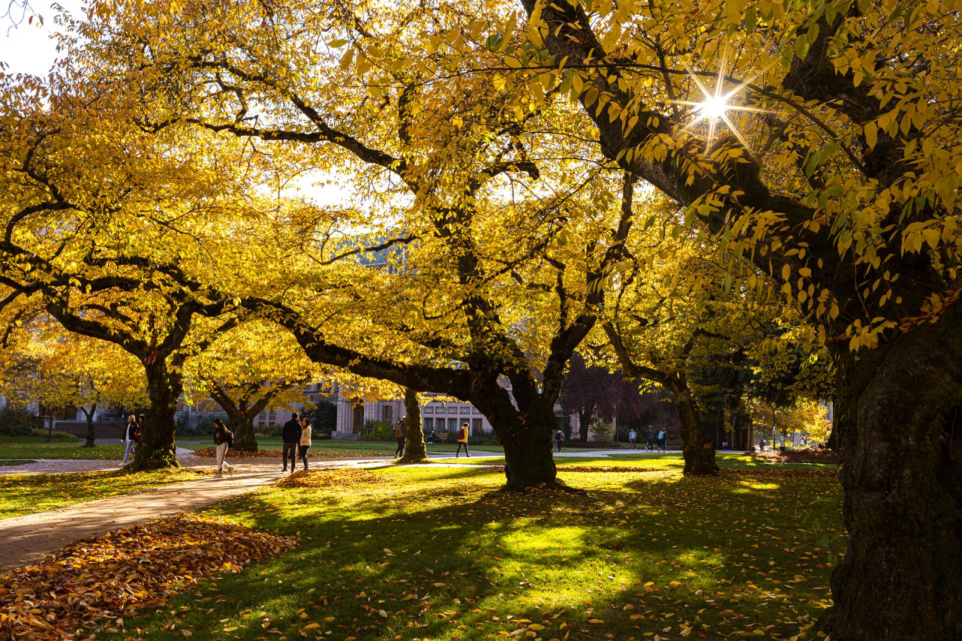 UW ACMS - 2025-2026 Student Scholarships