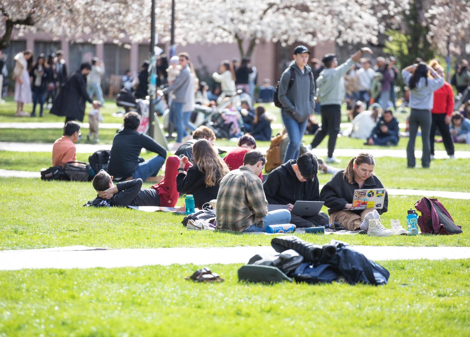 Students studying on campus - ACMS degree options UW